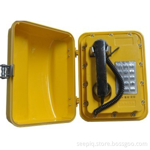 Weatherproof phone